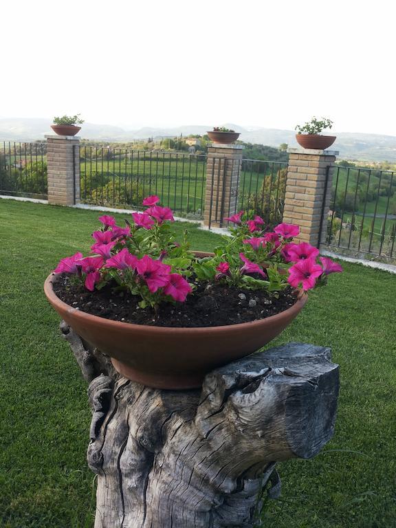 B&B La Piaggia Montemerano Habitación foto